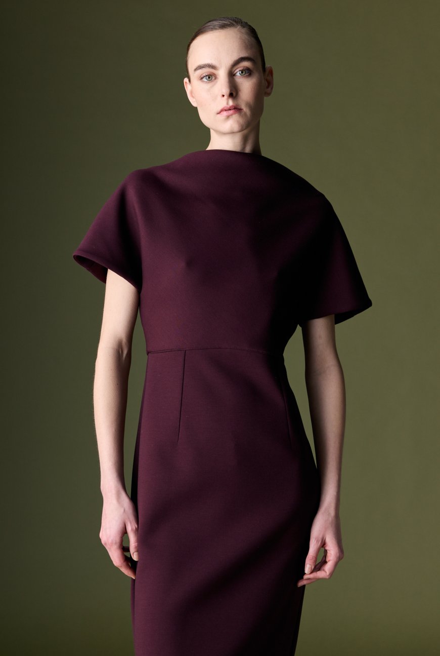 Format sheath dress natan
